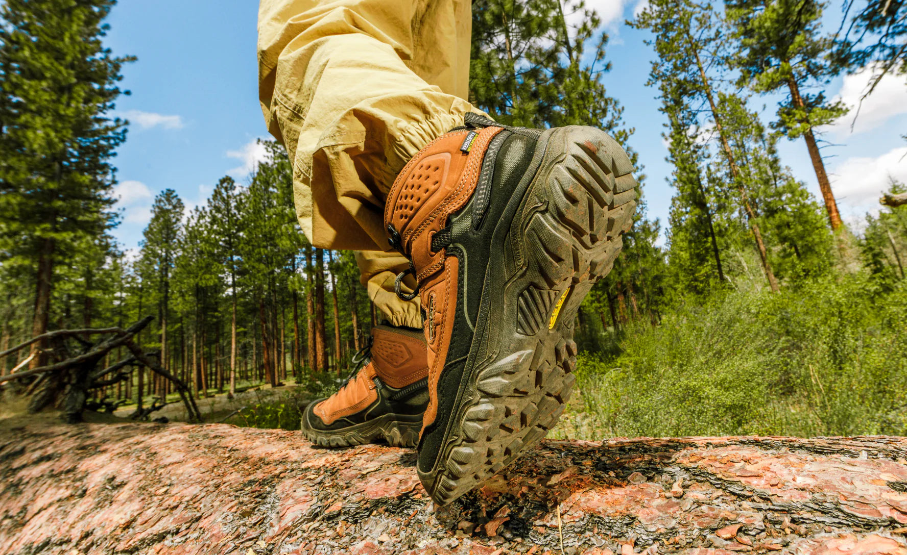 Men's Targhee IV Wide Waterproof Hiking Boot | Bison/Black - Image 6